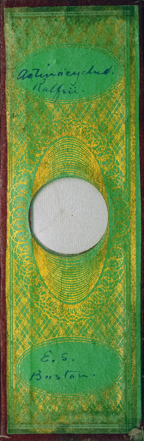 Victorian Slide - Actinocyclus Ralfsii prepared by Emmanuel Samuels