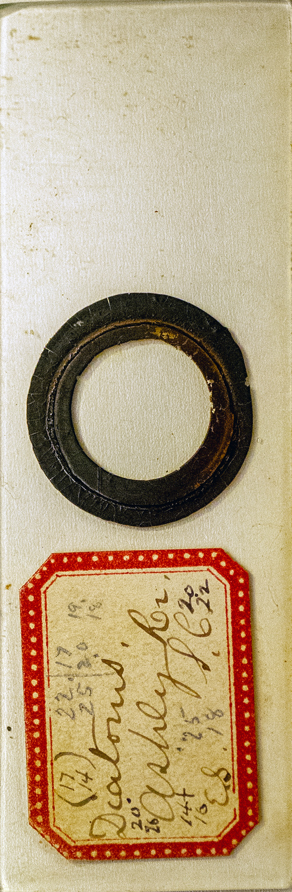 Victorian Slide - Diatoms from Ashley River in South Carolina