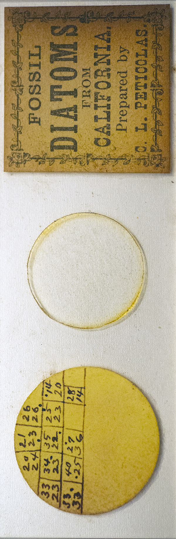 Victorian Slide - Fossil Diatoms from California prepared by CL Peticolas