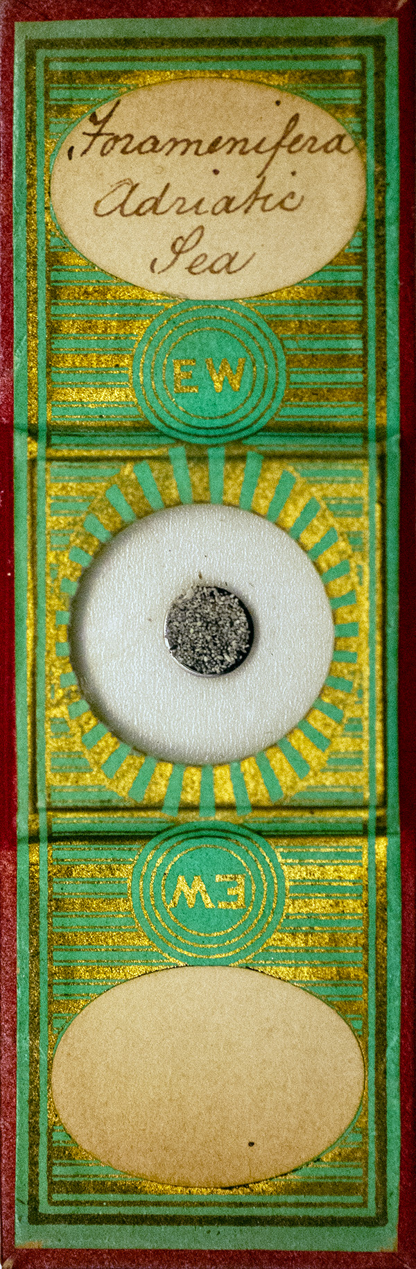 Victorian Slide - Foraminifera Adriatic Sea prepared by Edmund Wheeler