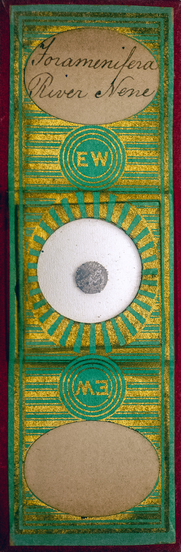 Victorian Slide - Foraminifera River Nene prepared by Edmund Wheeler