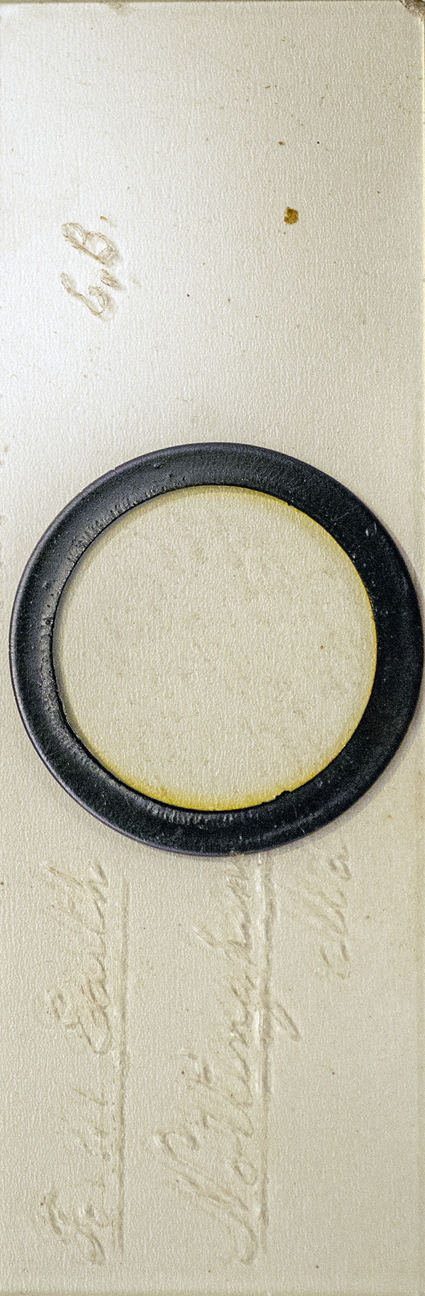 Victorian Slide - Fossil Earth from Nottingham